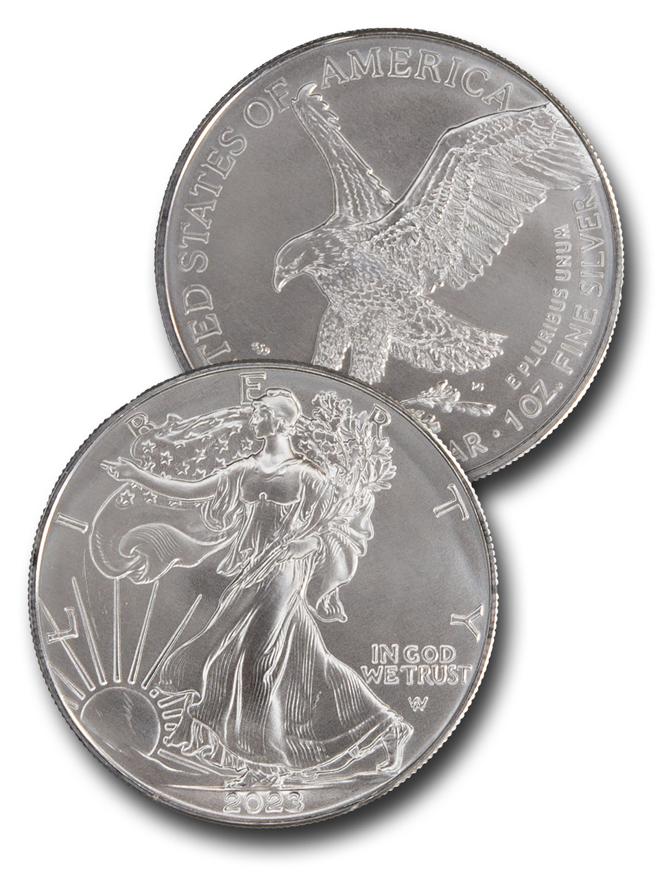 USA-CNSE23__84348.1738092868